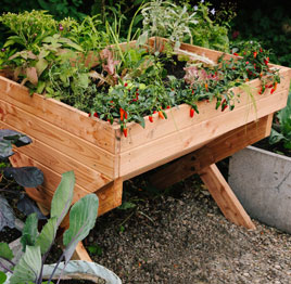 Eden Project outdoor vegetable table.jpg